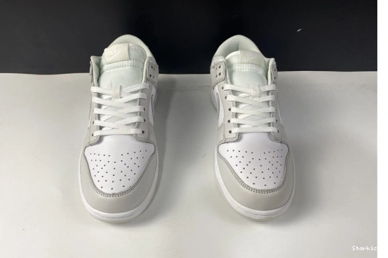 Dust" Nike Low DD1503-103 "Photon Dunk 1107